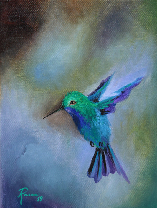 Türkis-Kolibri